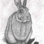 Discover high quality prints of original hand drawn animal portrait art by pencil artist, Fiona Green. High quality and unique.
