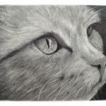 Discover high quality prints of original hand drawn animal portrait art by pencil artist, Fiona Green. High quality and unique.