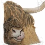 Discover high quality prints of original hand drawn animal portrait art by pencil artist, Fiona Green. High quality and unique.