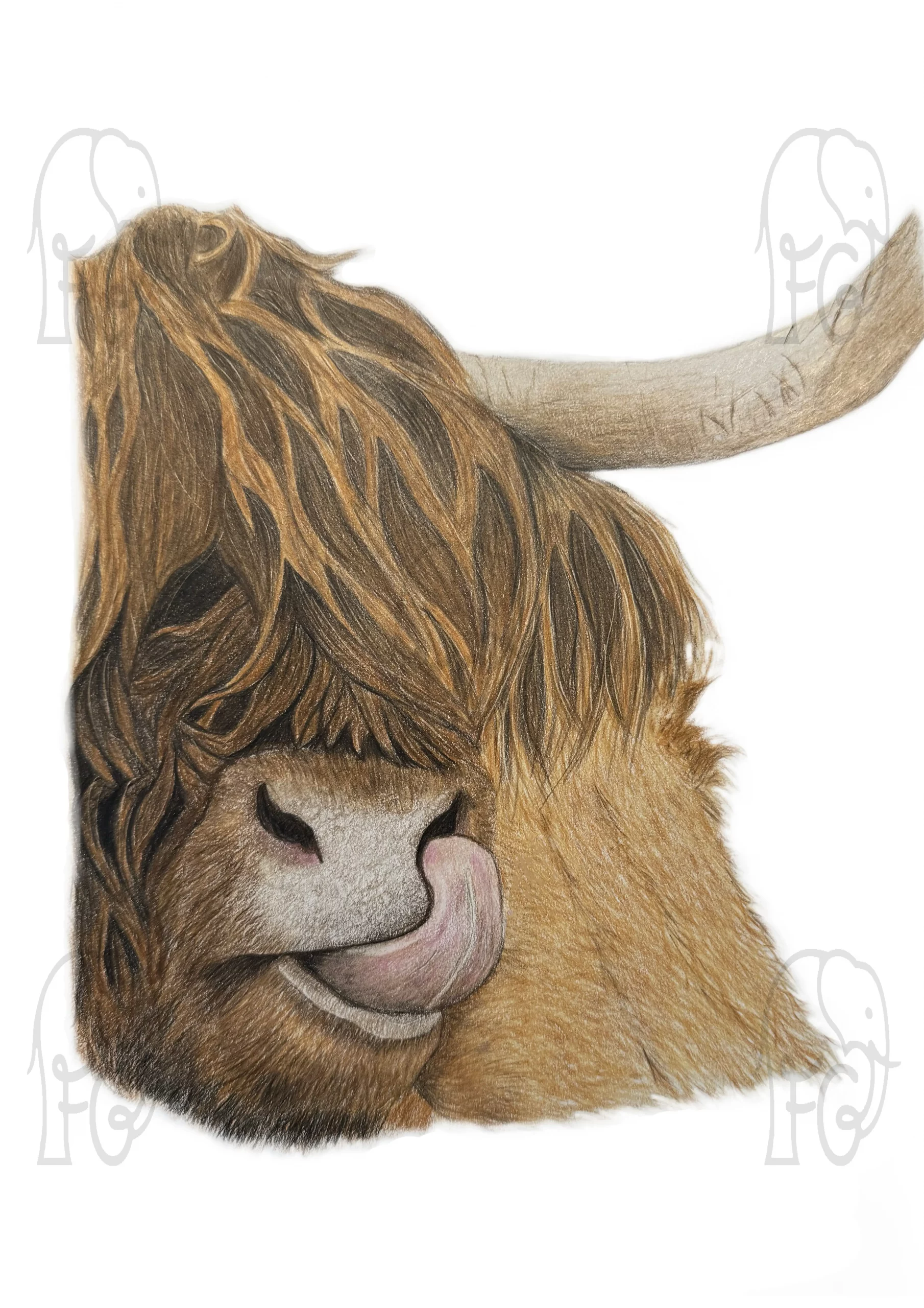 Discover high quality prints of original hand drawn animal portrait art by pencil artist, Fiona Green. High quality and unique.