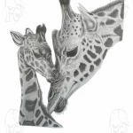animal art print reproduced from original graphite artwork