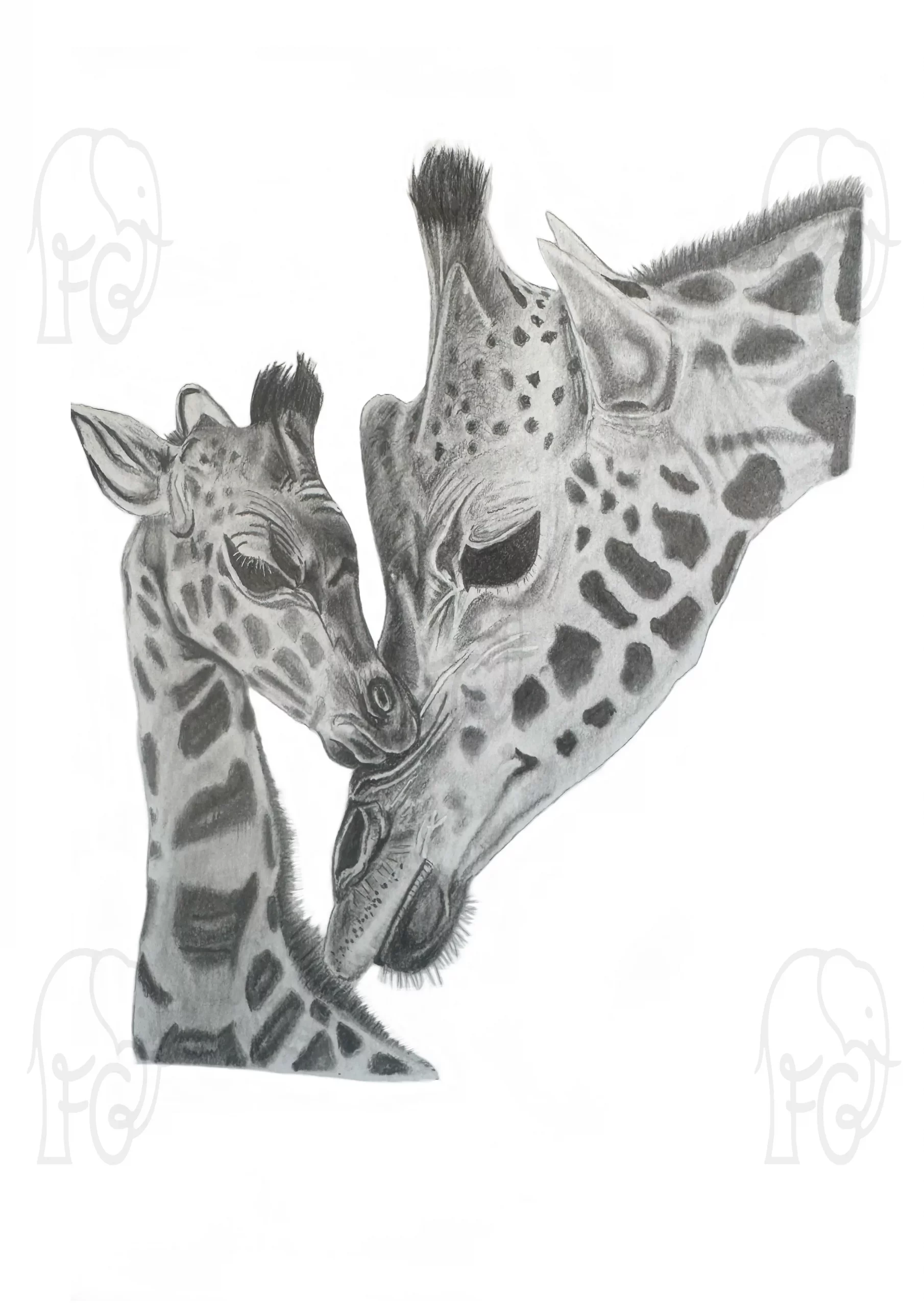 animal art print reproduced from original graphite artwork