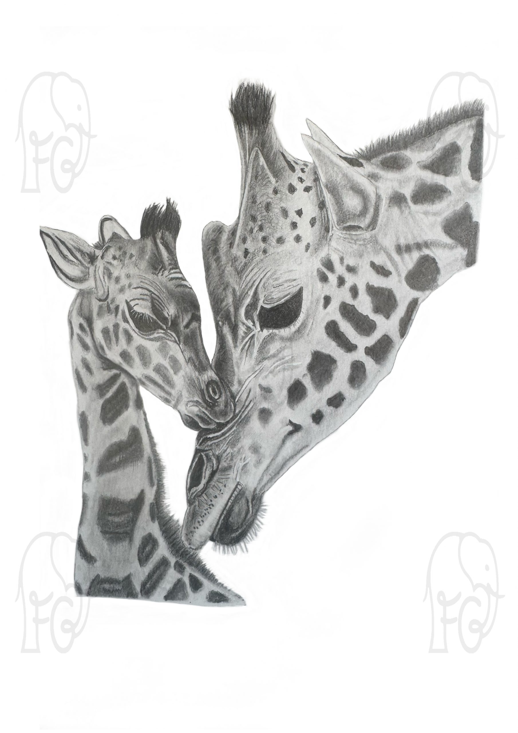 animal art print reproduced from original graphite artwork