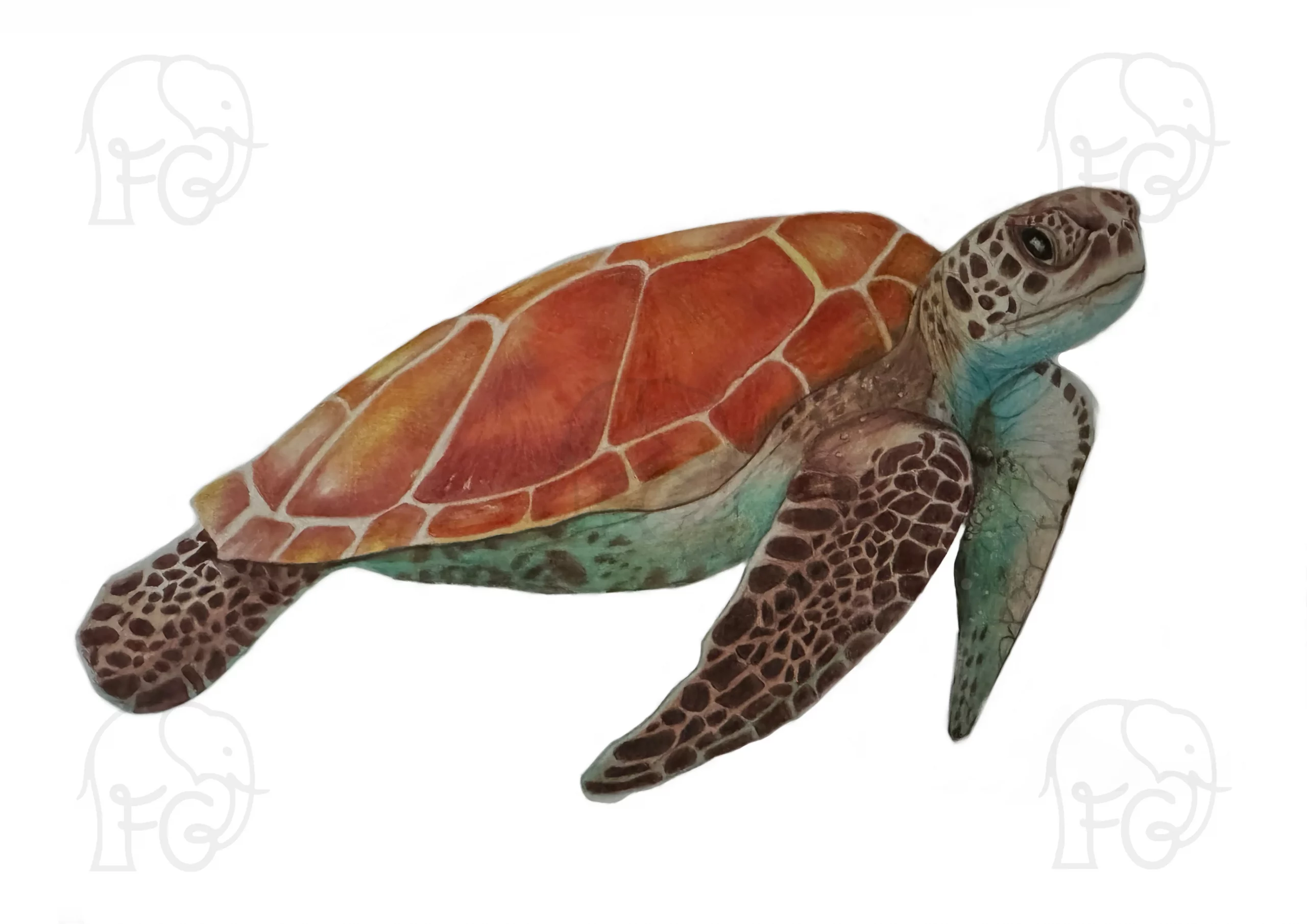 Discover high quality prints of original hand drawn animal portrait art by pencil artist, Fiona Green. High quality and unique.