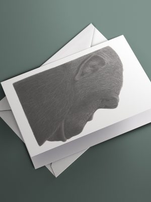 Shop charming animal art greeting cards, printed from hand drawn pencil art by artist, Fiona Green, UK delivery available.