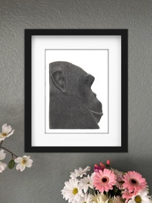 Discover high quality prints of original hand drawn animal portrait art by pencil artist, Fiona Green. High quality and unique.