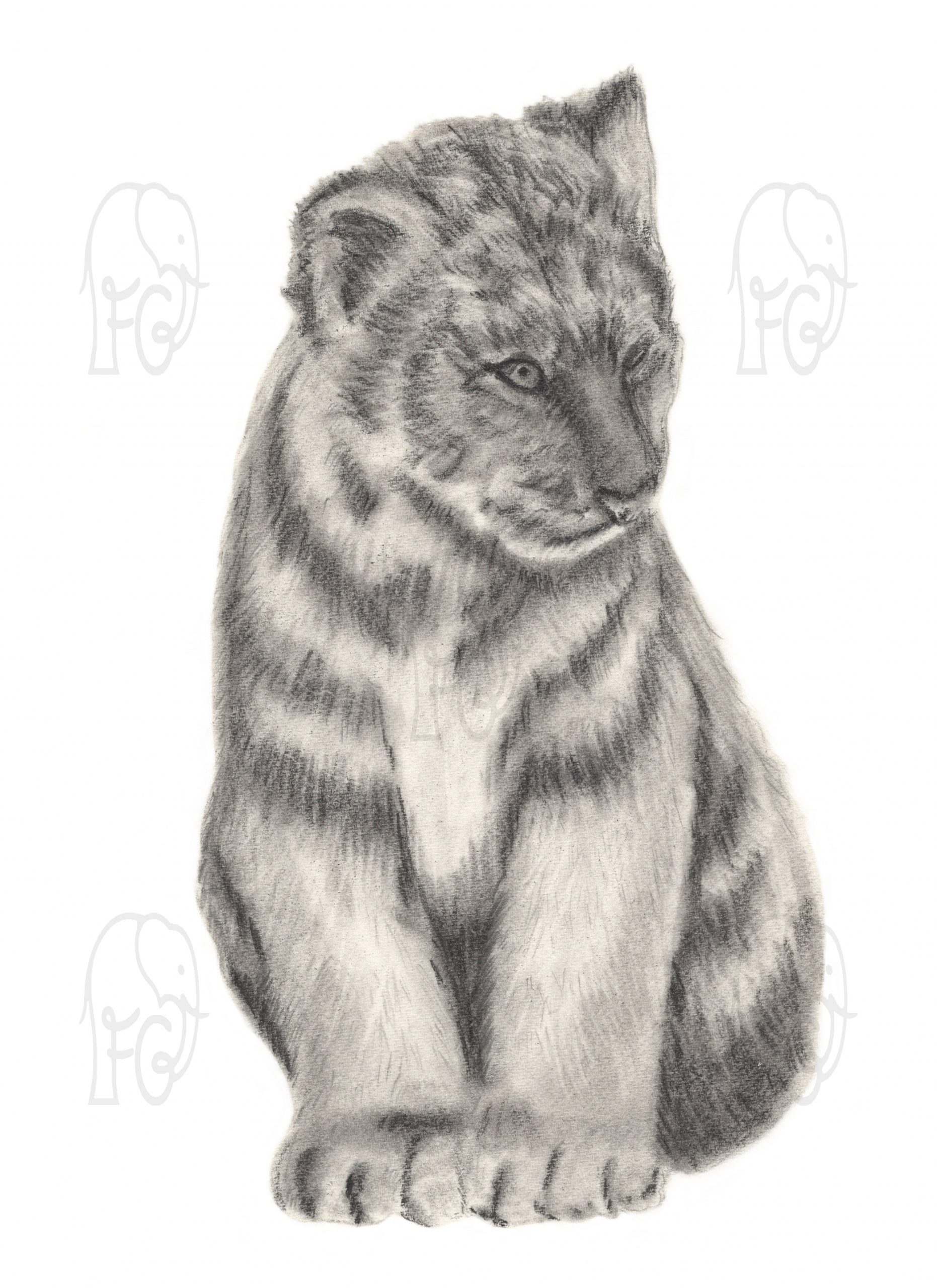 Discover high quality prints of original hand drawn animal portrait art by pencil artist, Fiona Green. High quality and unique.