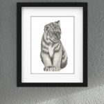 Discover high quality prints of original hand drawn animal portrait art by pencil artist, Fiona Green. High quality and unique.