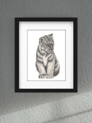 Discover high quality prints of original hand drawn animal portrait art by pencil artist, Fiona Green. High quality and unique.