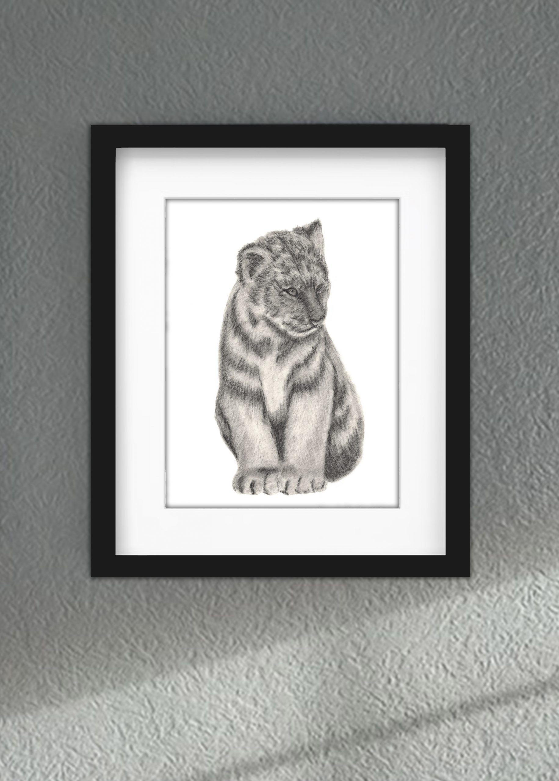 Discover high quality prints of original hand drawn animal portrait art by pencil artist, Fiona Green. High quality and unique.