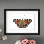 Discover high quality prints of original hand drawn animal portrait art by pencil artist, Fiona Green. High quality and unique.