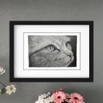 Discover high quality prints of original hand drawn animal portrait art by pencil artist, Fiona Green. High quality and unique.