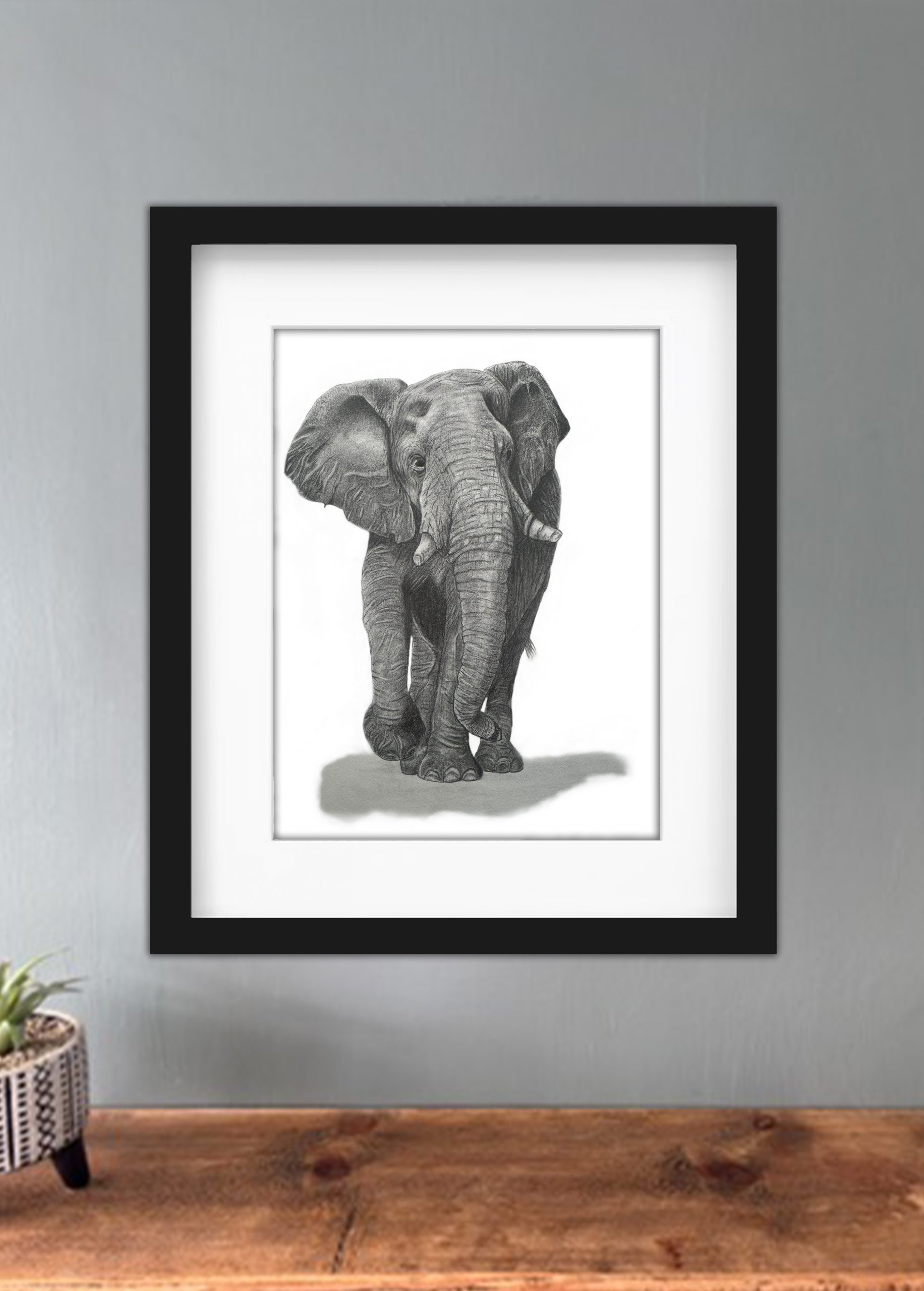 Discover high quality prints of original hand drawn animal portrait art by pencil artist, Fiona Green. High quality and unique.