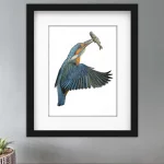 Discover high quality prints of original hand drawn animal portrait art by pencil artist, Fiona Green. High quality and unique.