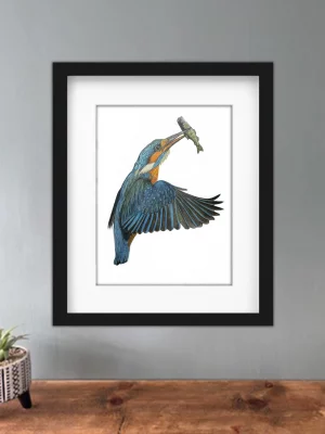 Discover high quality prints of original hand drawn animal portrait art by pencil artist, Fiona Green. High quality and unique.