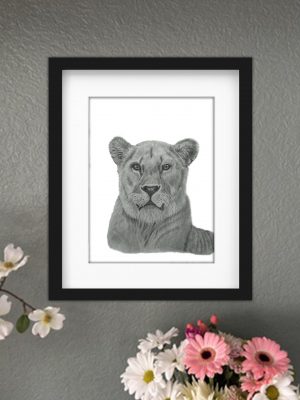 Discover high quality prints of original hand drawn animal portrait art by pencil artist, Fiona Green. High quality and unique.