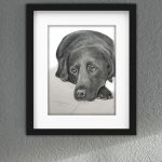 Discover high quality prints of original hand drawn animal portrait art by pencil artist, Fiona Green. High quality and unique.