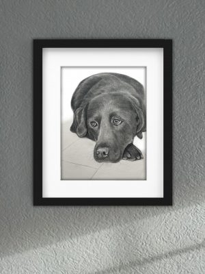 Discover high quality prints of original hand drawn animal portrait art by pencil artist, Fiona Green. High quality and unique.
