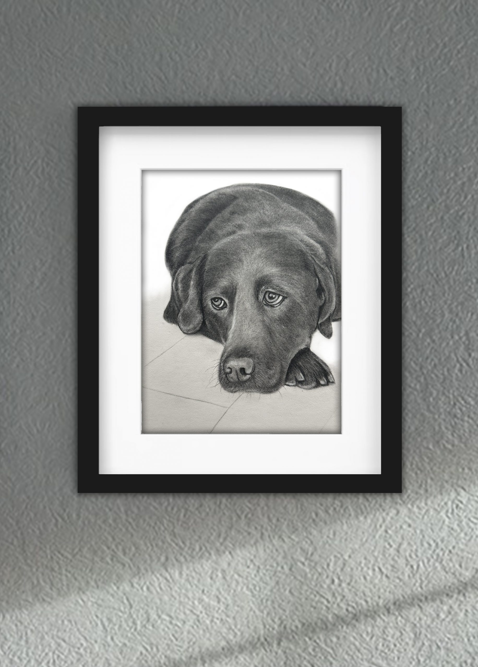 Discover high quality prints of original hand drawn animal portrait art by pencil artist, Fiona Green. High quality and unique.