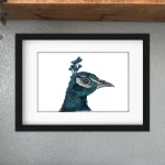 Discover high quality prints of original hand drawn animal portrait art by pencil artist, Fiona Green. High quality and unique.