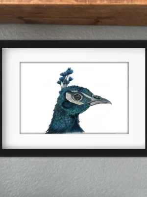 Discover high quality prints of original hand drawn animal portrait art by pencil artist, Fiona Green. High quality and unique.