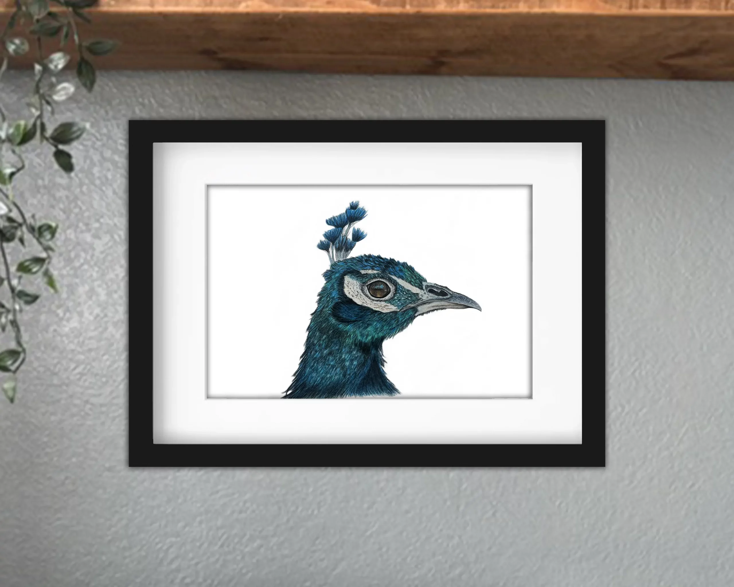 Discover high quality prints of original hand drawn animal portrait art by pencil artist, Fiona Green. High quality and unique.