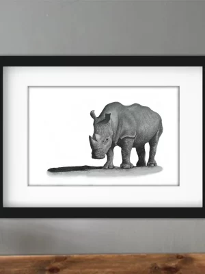 Discover high quality prints of original hand drawn animal portrait art by pencil artist, Fiona Green. High quality and unique.
