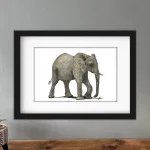 Discover high quality prints of original hand drawn animal portrait art by pencil artist, Fiona Green. High quality and unique.