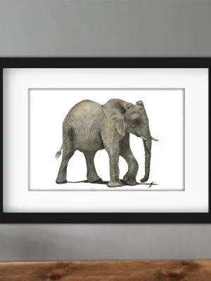 Discover high quality prints of original hand drawn animal portrait art by pencil artist, Fiona Green. High quality and unique.