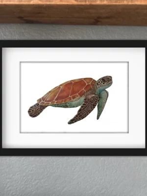 Discover high quality prints of original hand drawn animal portrait art by pencil artist, Fiona Green. High quality and unique.