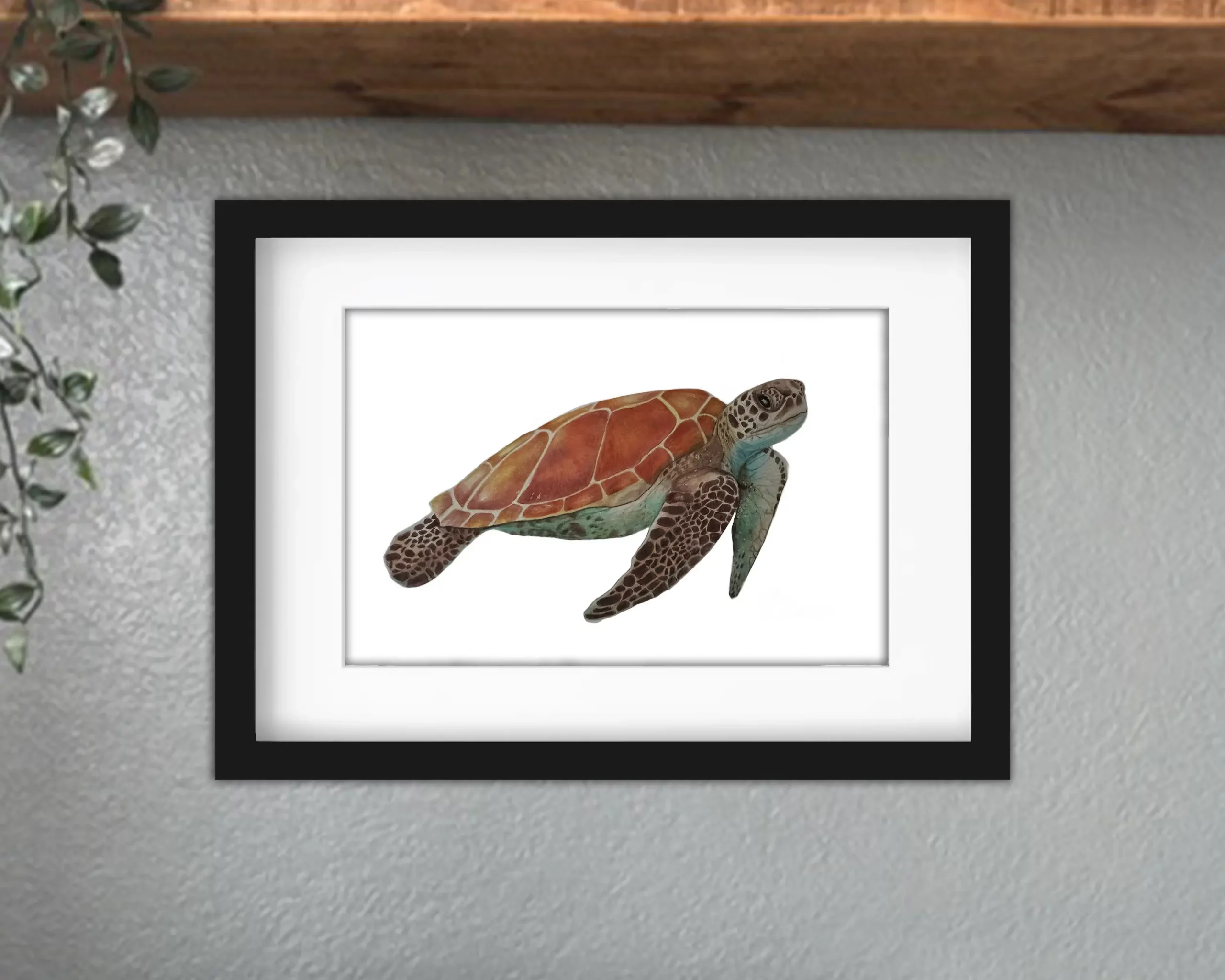 Discover high quality prints of original hand drawn animal portrait art by pencil artist, Fiona Green. High quality and unique.