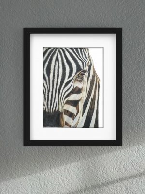 Discover high quality prints of original hand drawn animal portrait art by pencil artist, Fiona Green. High quality and unique.