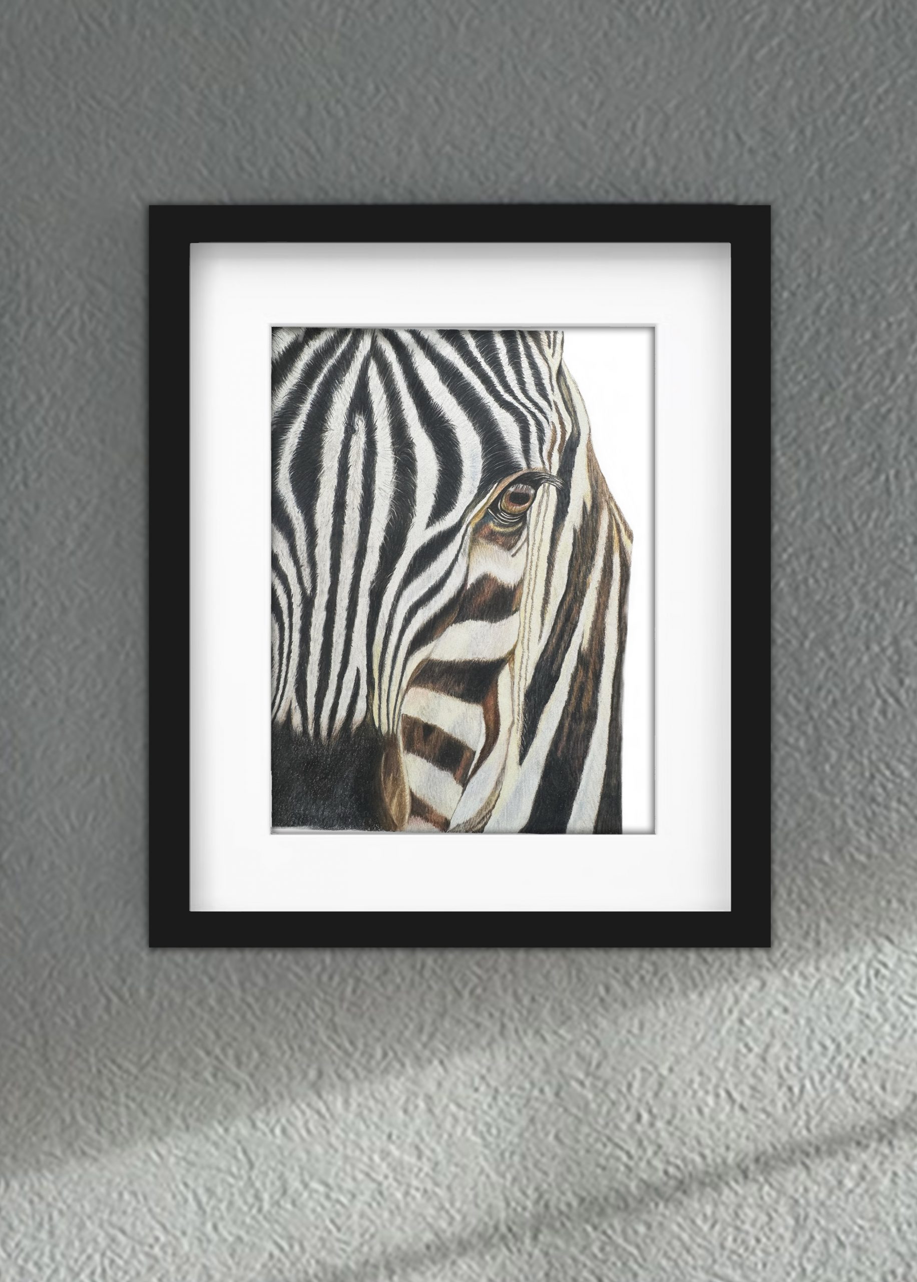 Discover high quality prints of original hand drawn animal portrait art by pencil artist, Fiona Green. High quality and unique.