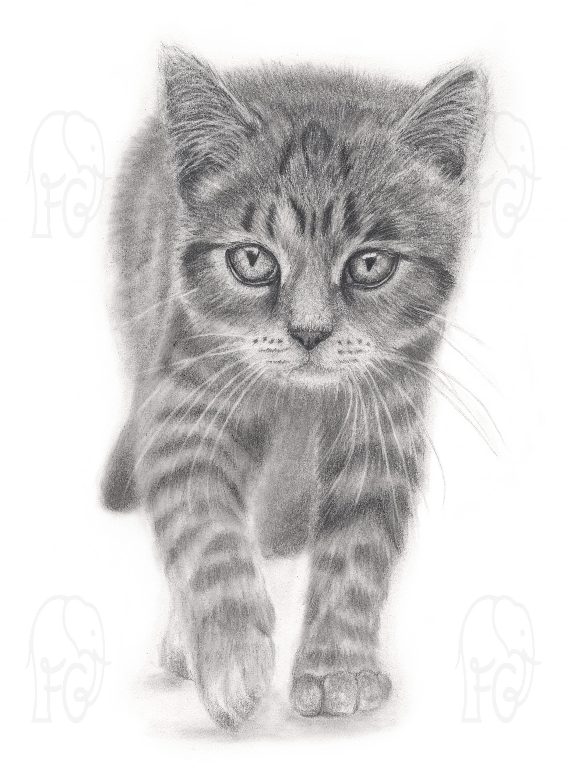 Discover high quality prints of original hand drawn animal portrait art by pencil artist, Fiona Green. High quality and unique.