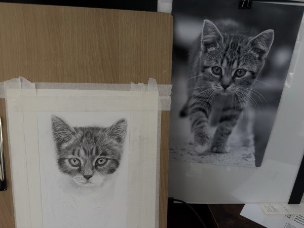 hand-drawn graphite pet memorial portrait of a cat