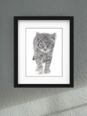 Discover high quality prints of original hand drawn animal portrait art by pencil artist, Fiona Green. High quality and unique.